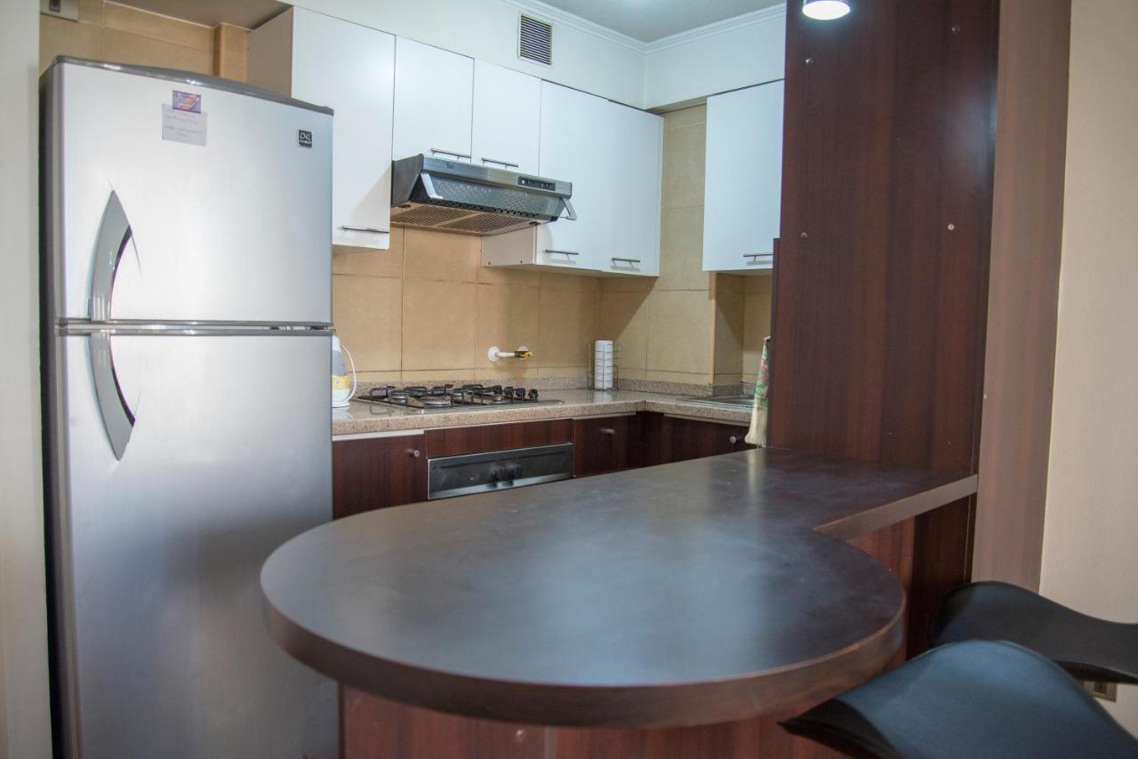 Апартаменты Bellavista Departamento Amoblado Сантьяго Экстерьер фото